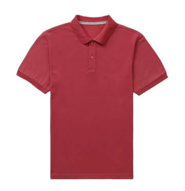 Polo Bear Graphic T-Shirt